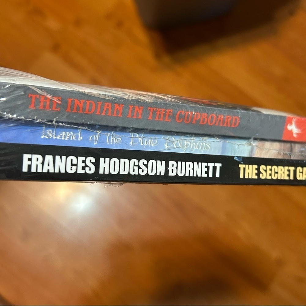 3 Book Lot Set Indian in the Cupboard, Secret Garden, Island Of Blue Dolphins